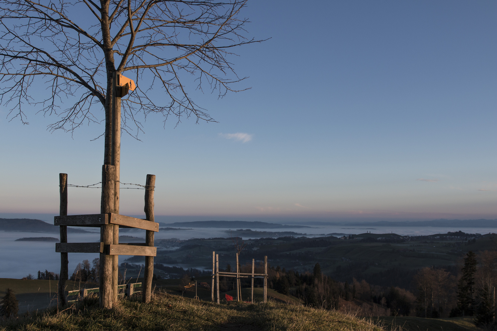 Der erste Sonnenstrahl