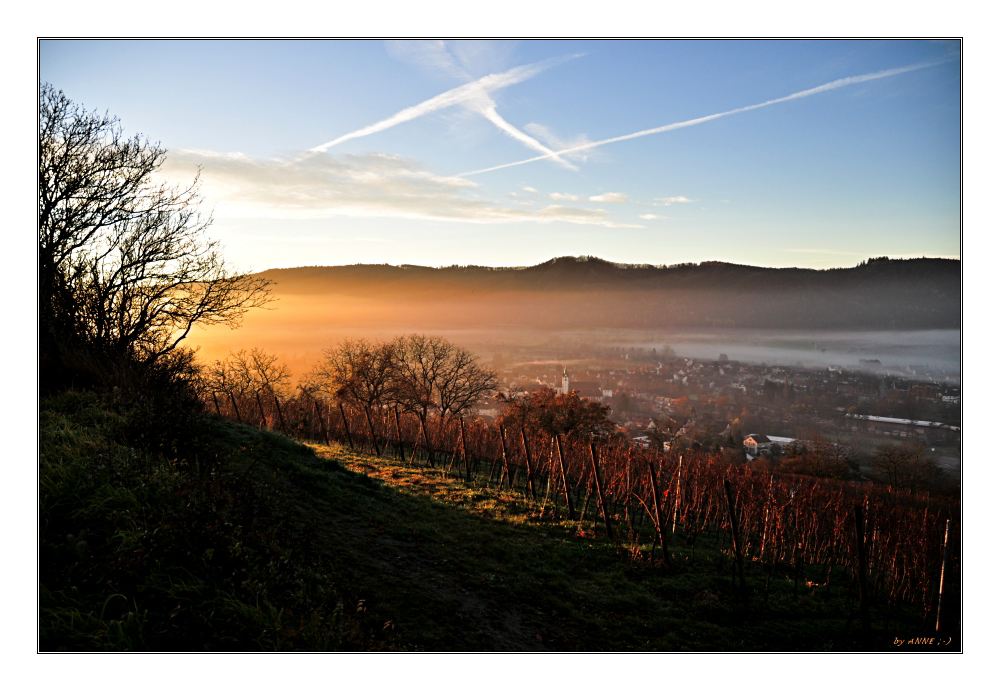 Der erste Sonnenstrahl zum Wecken...