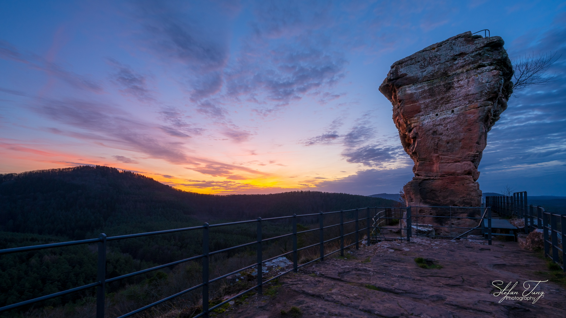 Der erste Sonnenuntergang 2023 im Pfälzer Wald