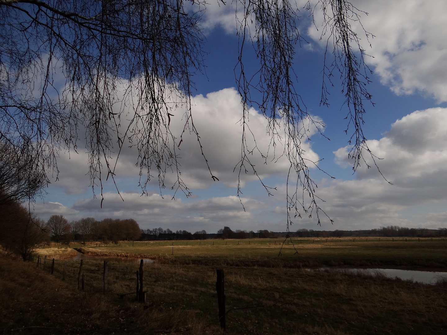 Der erste Spaziergang ohne Callie (2)