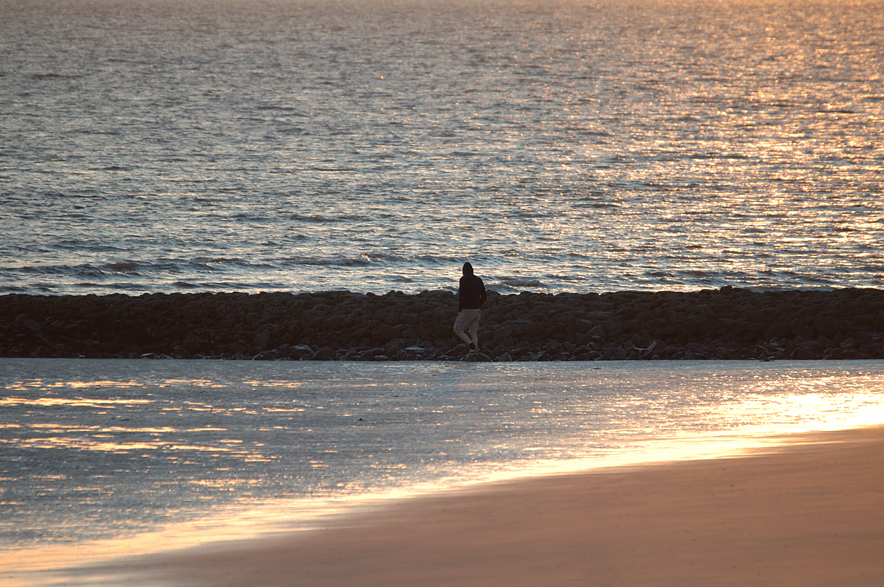 Der erste Strandspazierer....außer mir