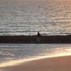 Der erste Strandspazierer....außer mir