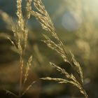 Der erste Tag im Jahr startet mit Sonnenschein