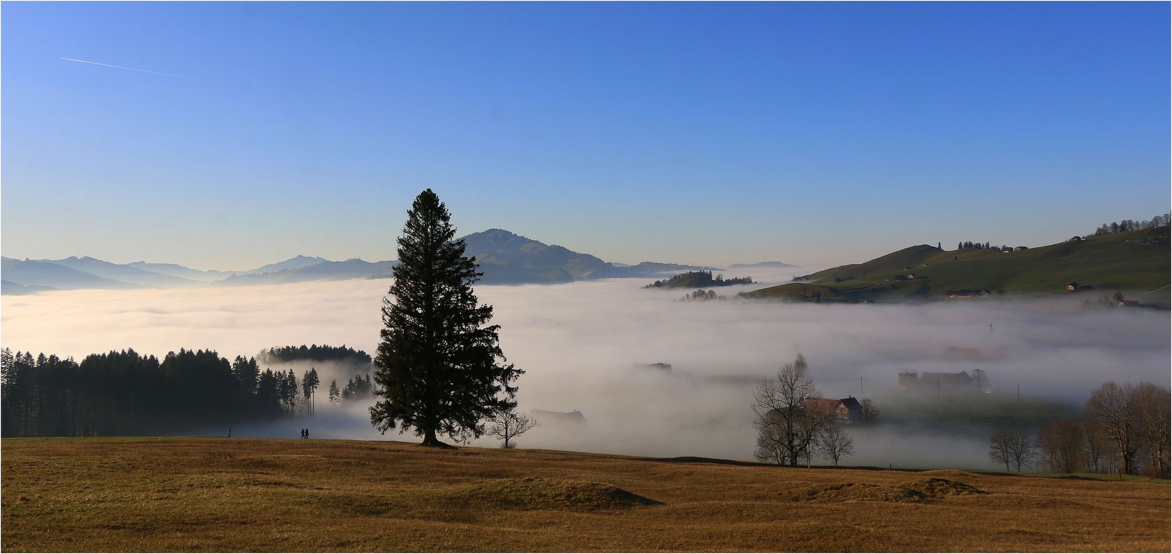 Der erste Tag im neuen Jahr&hellip; Foto &amp; Bild | natur, landschaft