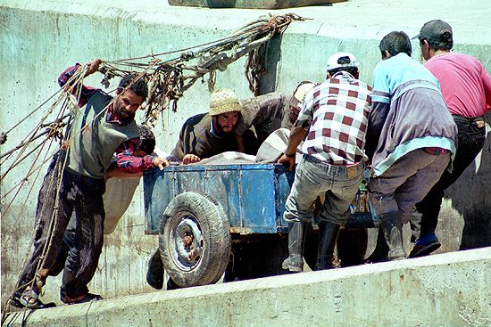 DER ERSTE UPLOAD IN DIE FOTOCOMMUNITY: "Wagenschieber in Marokko"