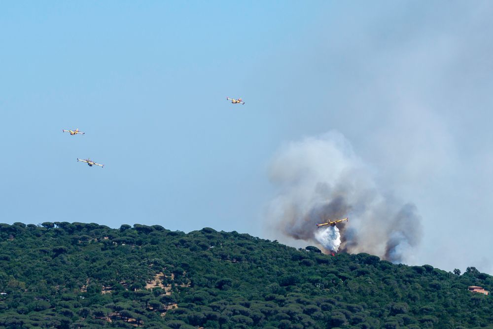 Der erste Waldbrand der Saison