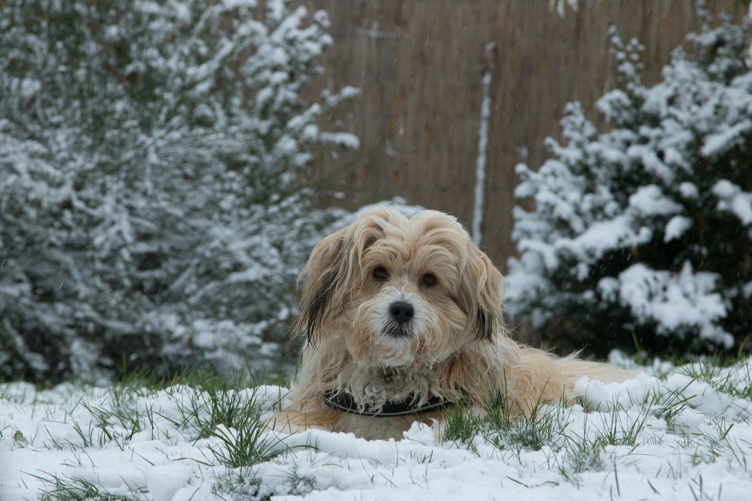 der erste Winter für Teo