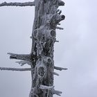 Der erste Wintereinbruch