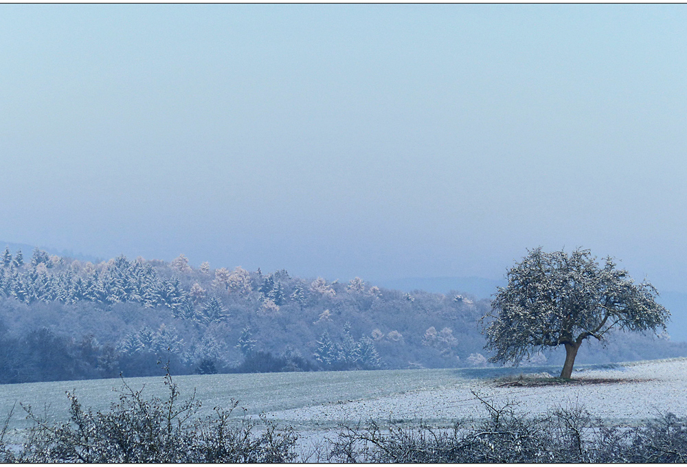 der erste winterhauch...