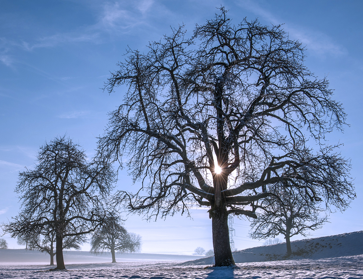 DER ERSTE WINTERSPAZIERGANG