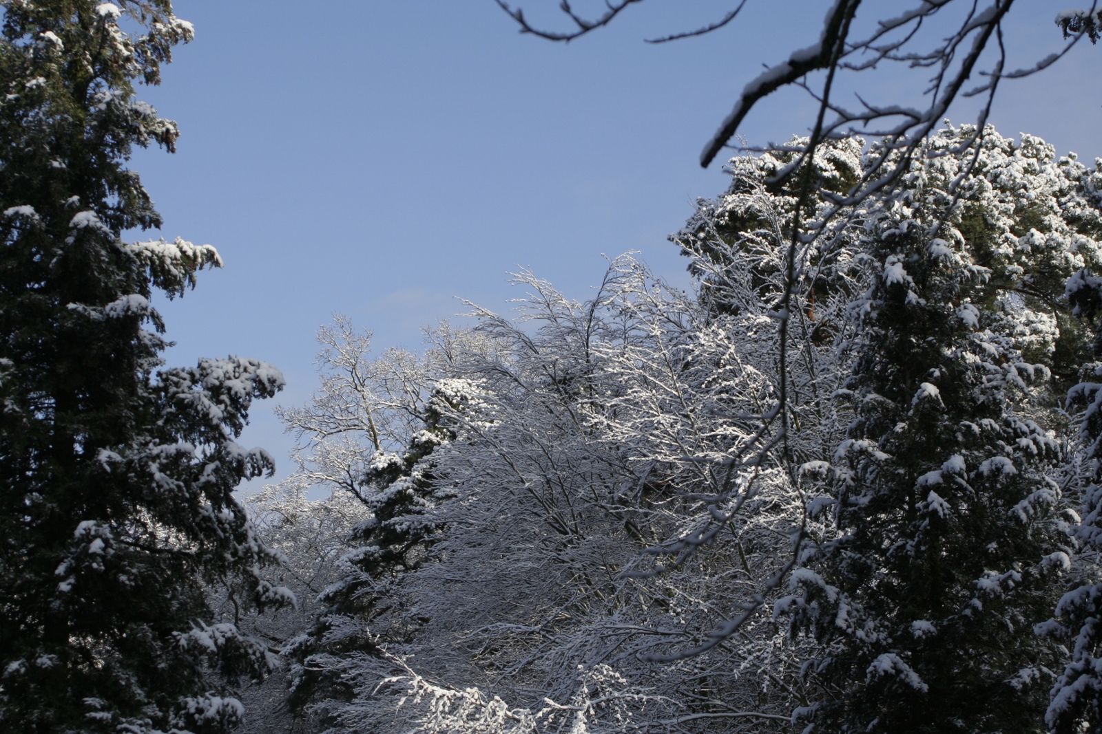 Der erste Wintertag