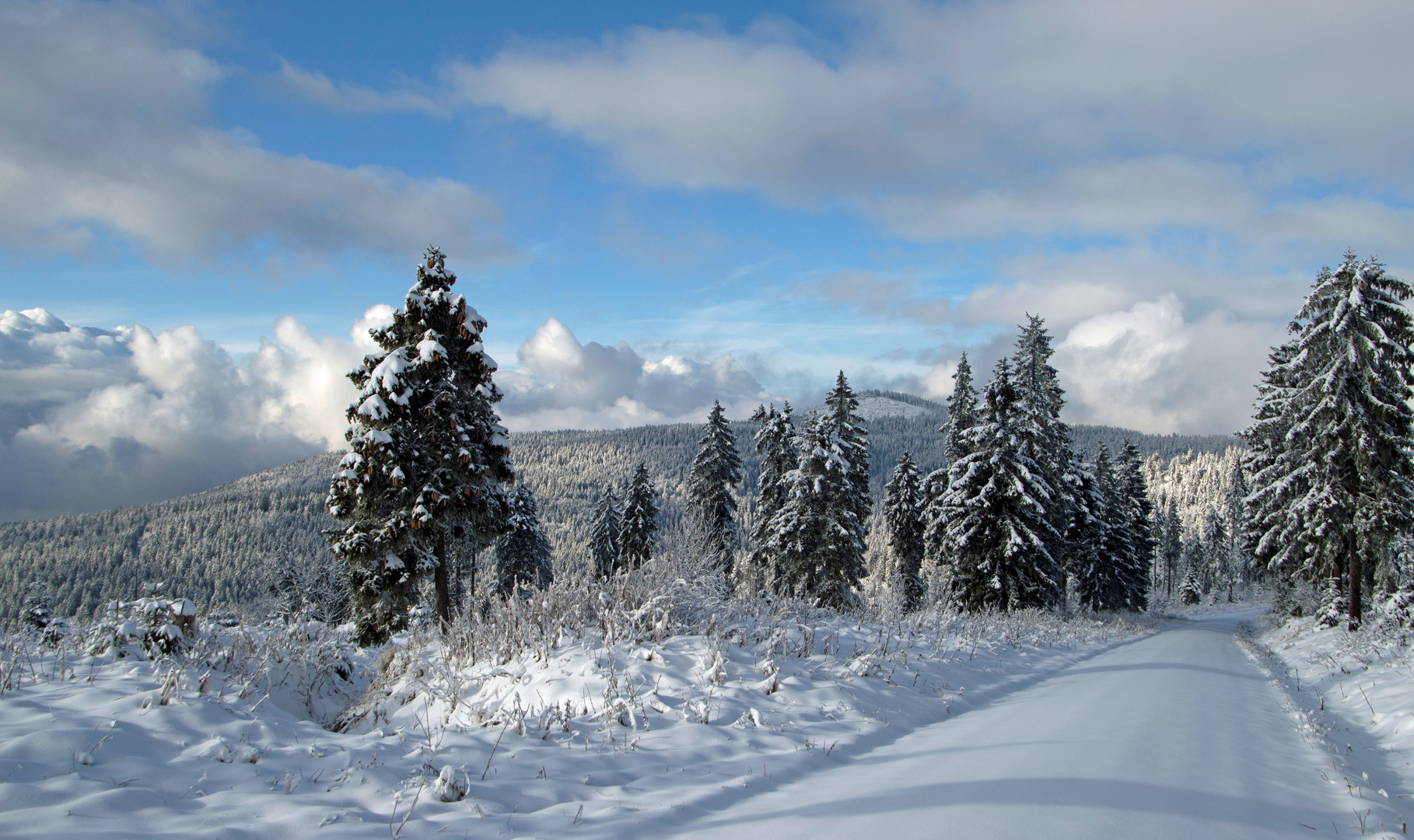 der erste Wintertag