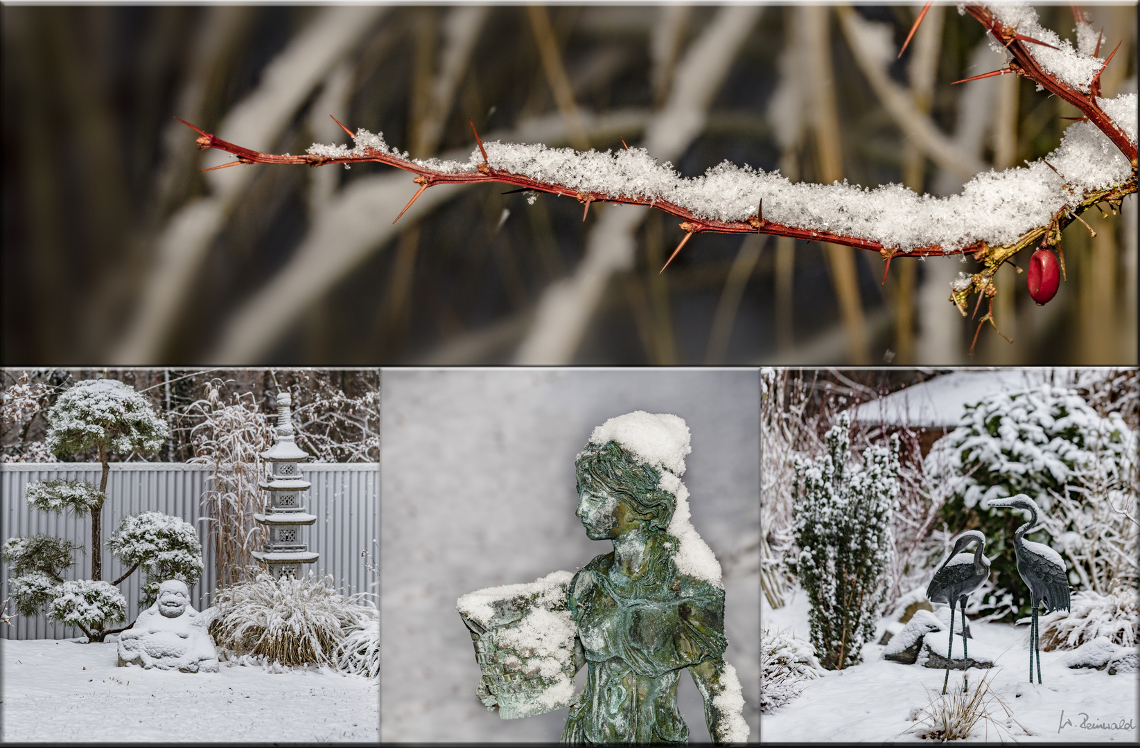 Der erste zaghafte Schnee