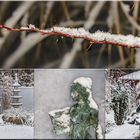 Der erste zaghafte Schnee