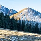 Der erste zaghafte Schnee, Aufnahme vom 18.11.2020