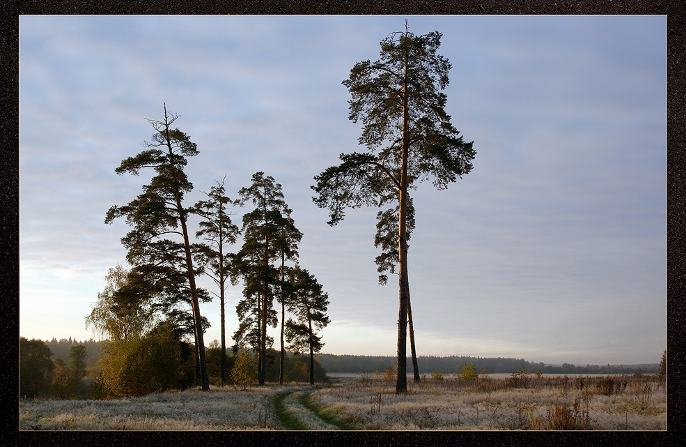 Der ersten Morgenfrost und die Nebel..