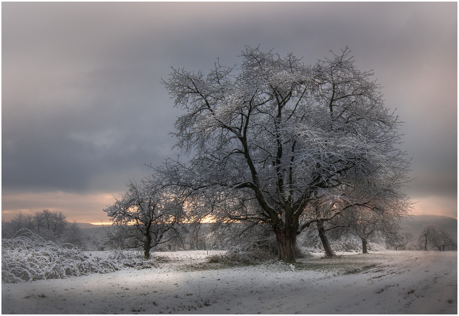 Der erster Schnee ...