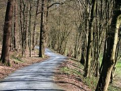 Der Eschbach (1)