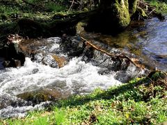 Der Eschbach (1)