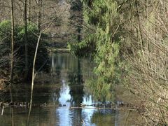 Der Eschbach (5)