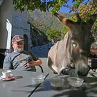 Der Esel hat sich schön über unser Eis her gemacht