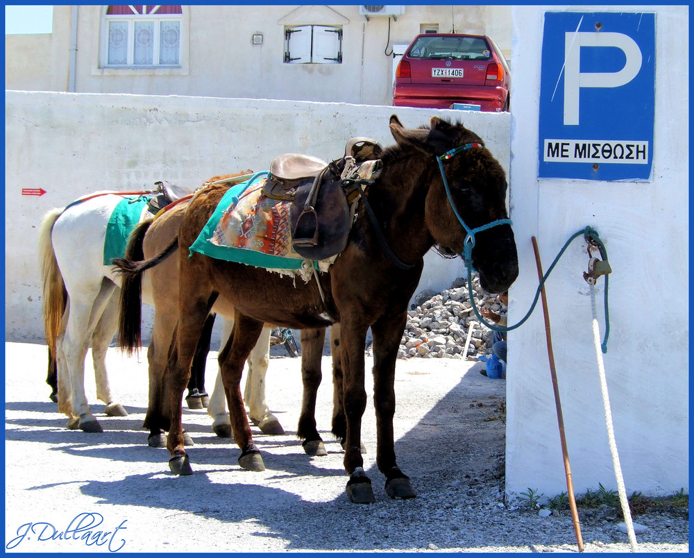 Der Esel-Parkplatz