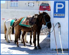 Der Esel-Parkplatz