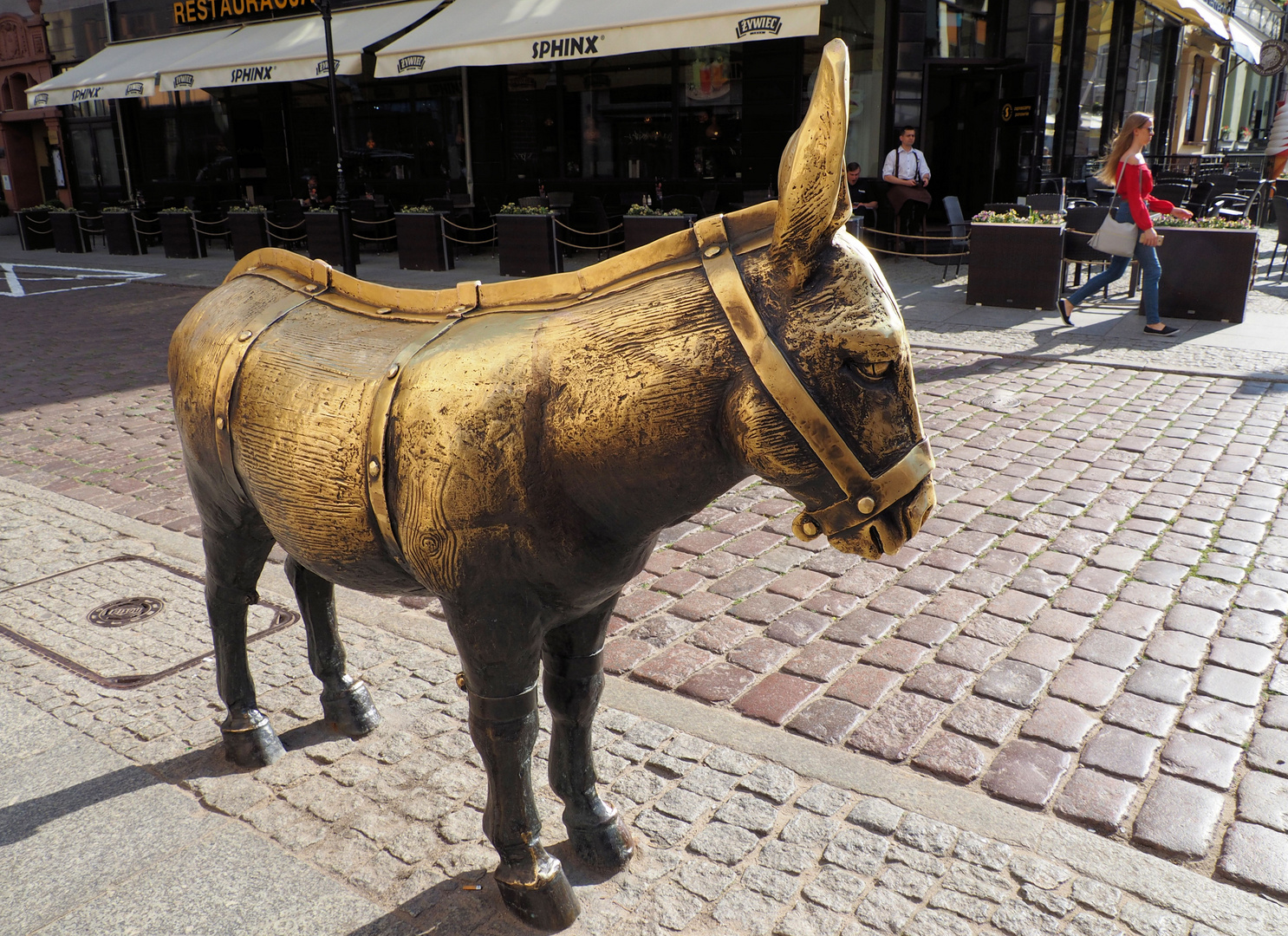 Der Esel von Thorn(. Torun Polen) Foto & Bild city, world, polen