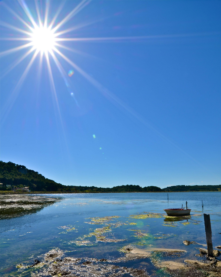 Der Etang bei Gruissan