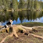 Der Etang de la Gruère hat uns empfangen