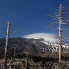 Der Etna erwacht!