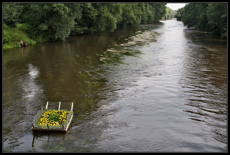 Der etwas andere Garten #1