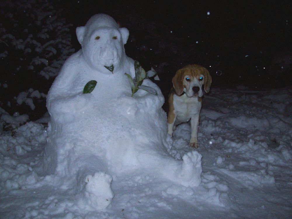 Der etwas andere Schneemann by Mottenkönigin 