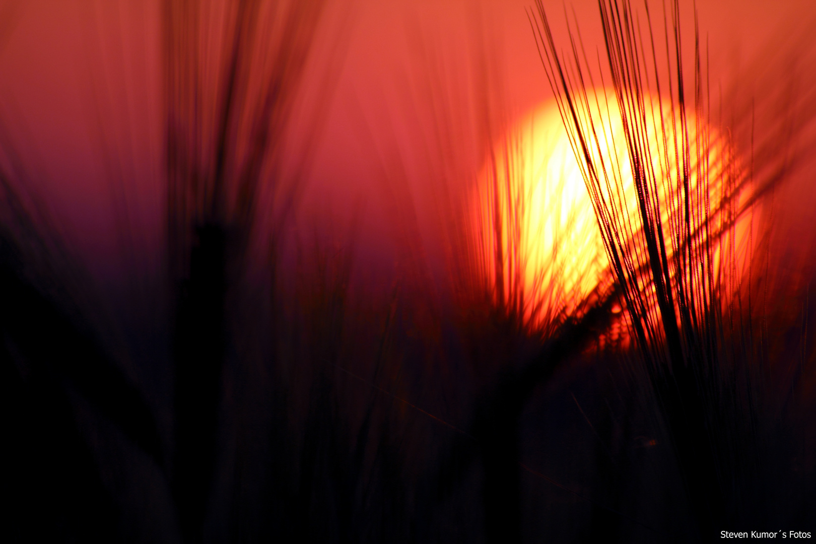 Der etwas andere Sonnenuntergang