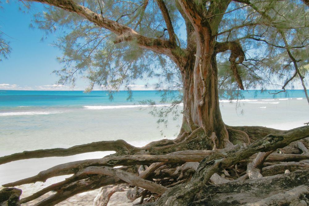 der etwas andere Strandblick