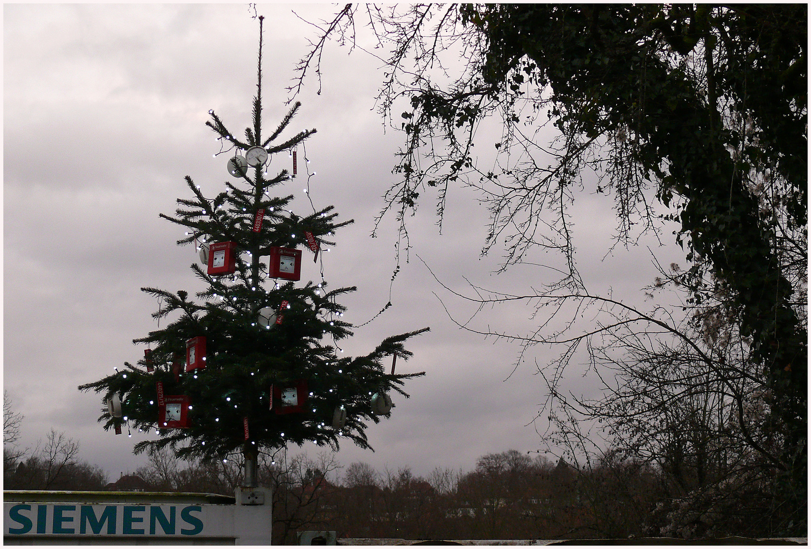 Der etwas andere Weihnachtsbaum