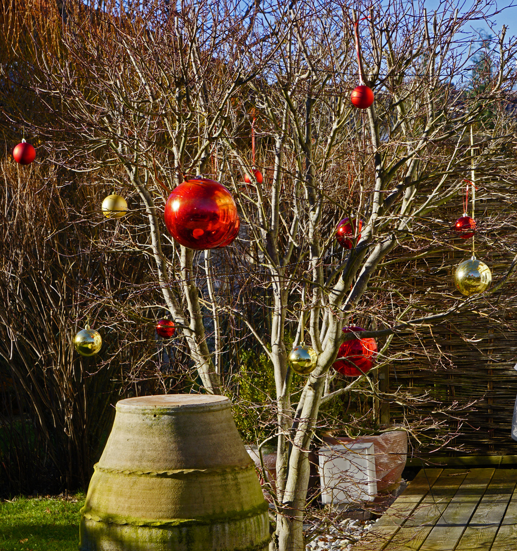 Der etwas andere Weihnachtsbaum.......