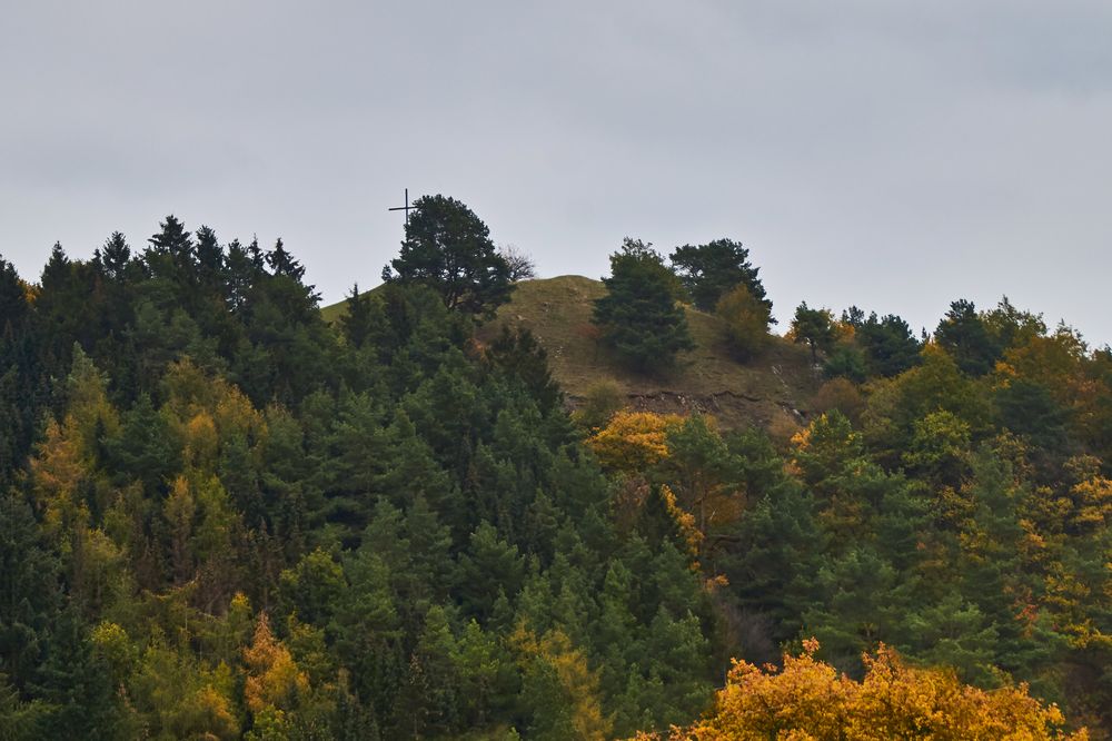 Der Eulenberg Foto & Bild wald, natur, landschaft Bilder auf