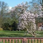 Der Evenburgpark im April