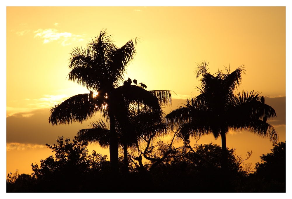 Der Everglades Nationalpark