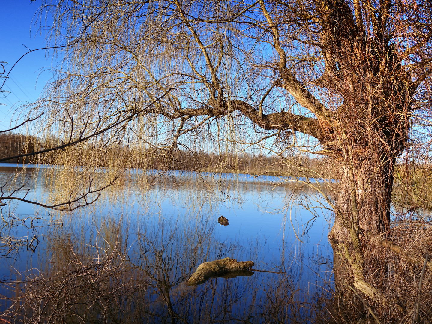 Der Ewaldsee in Gelsenkirchen.