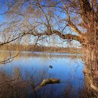 Der Ewaldsee in Gelsenkirchen.