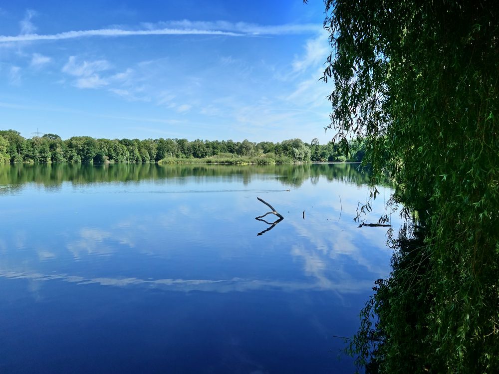 Der Ewaldsee in Gelsenkirchen.