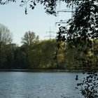 Der Ewaldsee in Gelsenkirchen im Herbst 2011