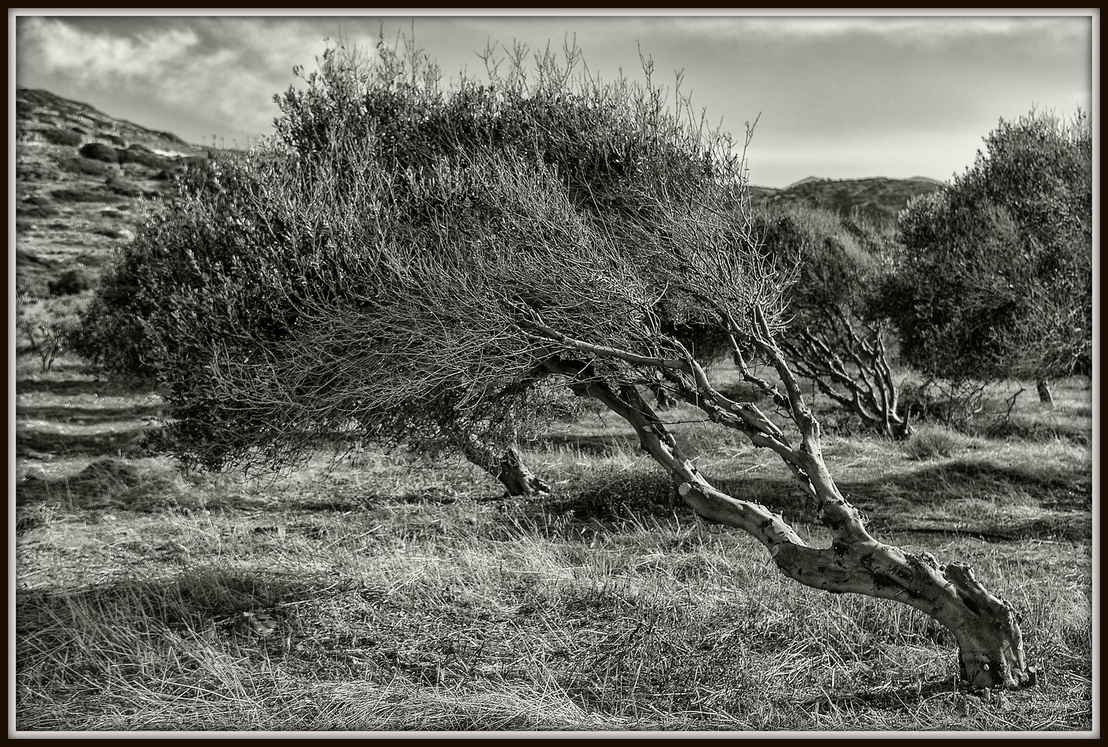 Der ewige Kampf mit dem Wind.