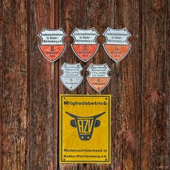Der ewige Zweite
