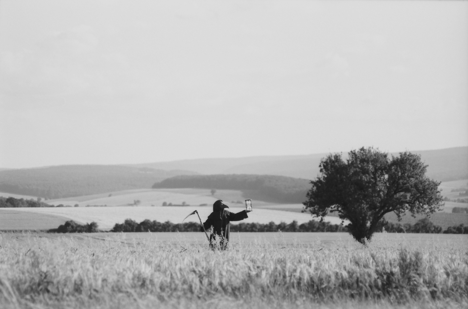 Der Fänger im Roggen, 2015