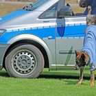 Der "Fahrer" springt aus dem Auto und stellt den "Täter".