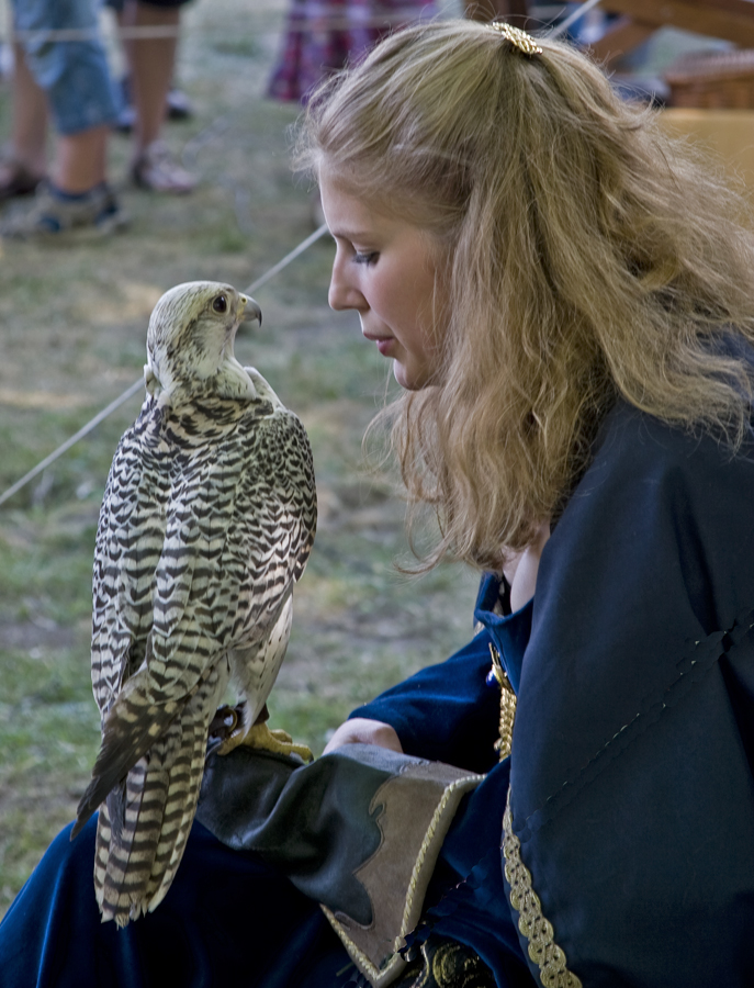 Der Falke und das Mädchen.....