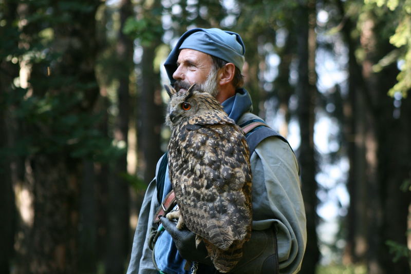 Der Falkner - Maximillianfest in Igls bei Innsbruck